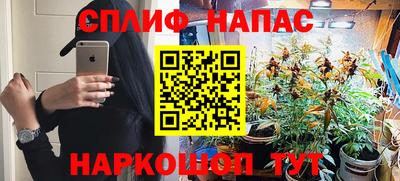 спайс Будённовск