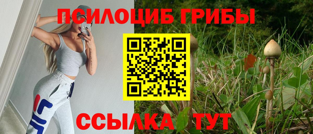 Псилоцибиновые грибы Magic Shrooms  Галлюциногенные грибы Psilocybine cubensis  Шуя  купить наркотики цена  Вход с VPN 