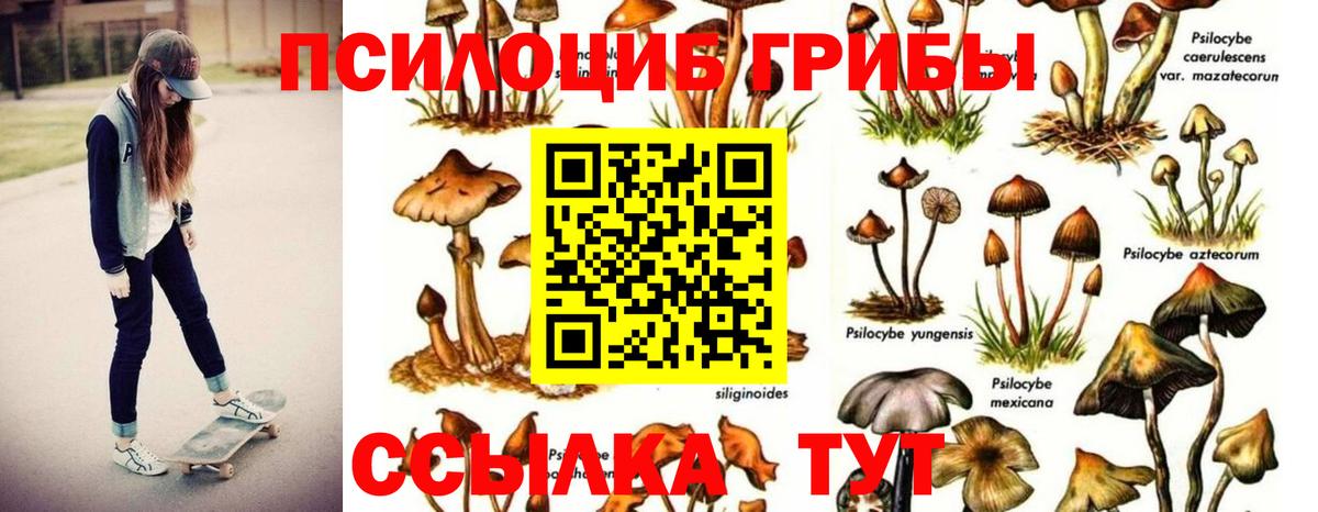 Галлюциногенные грибы Cubensis Шуя