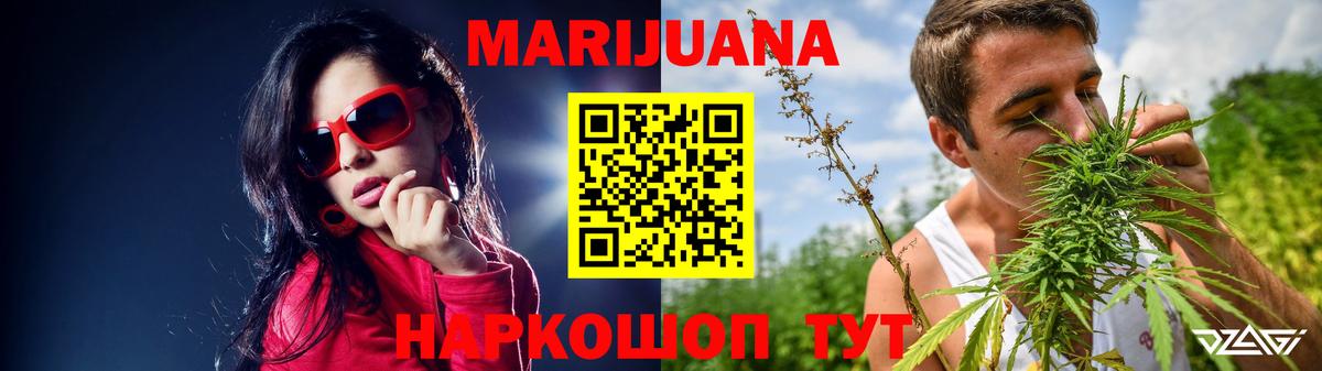 Канабис план  Вход с VPN  Шуя  Бошки Шишки гибрид  Конопля Ganja 